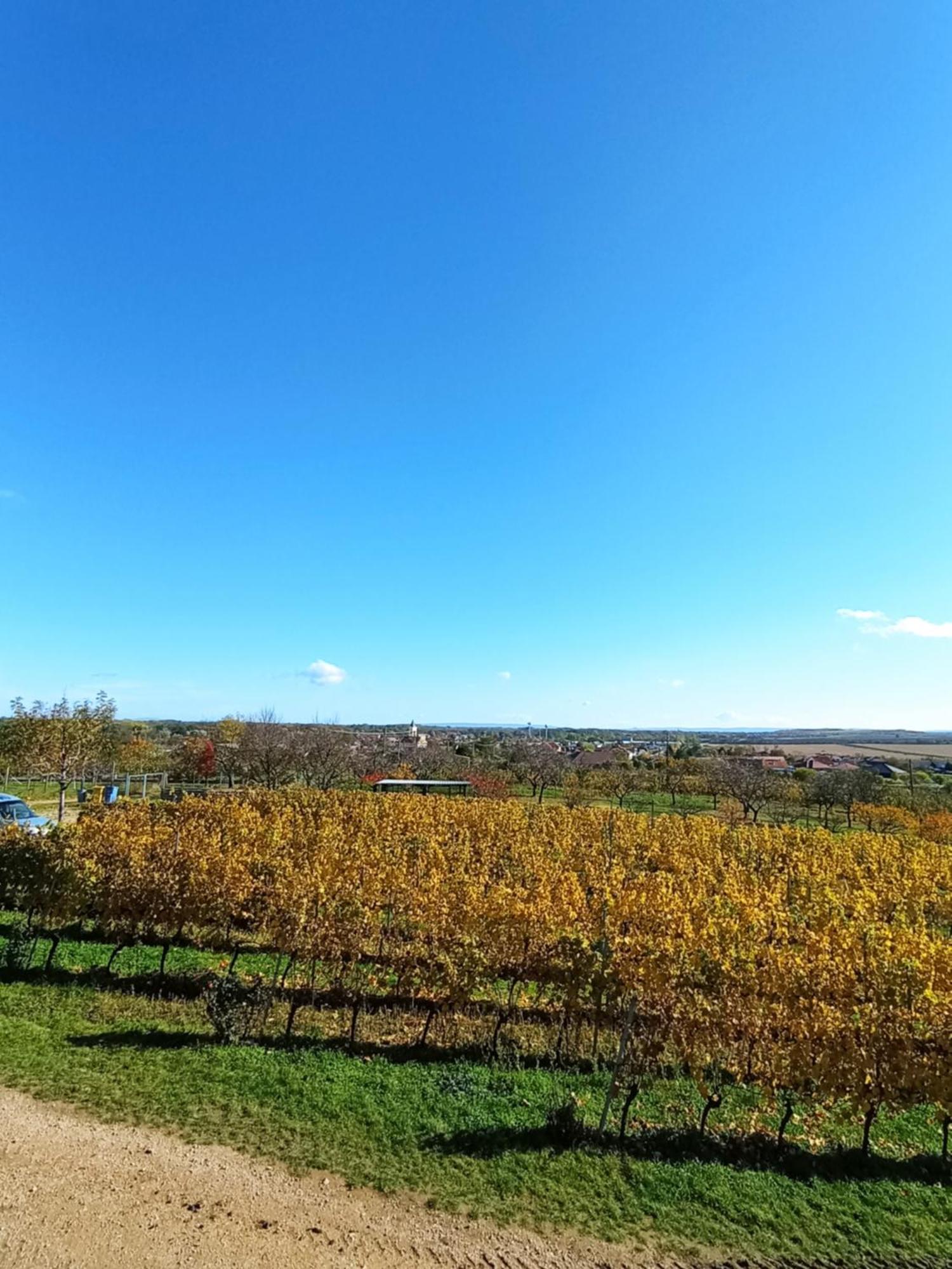 Vinarsky Penzion Strachotice Exterior foto