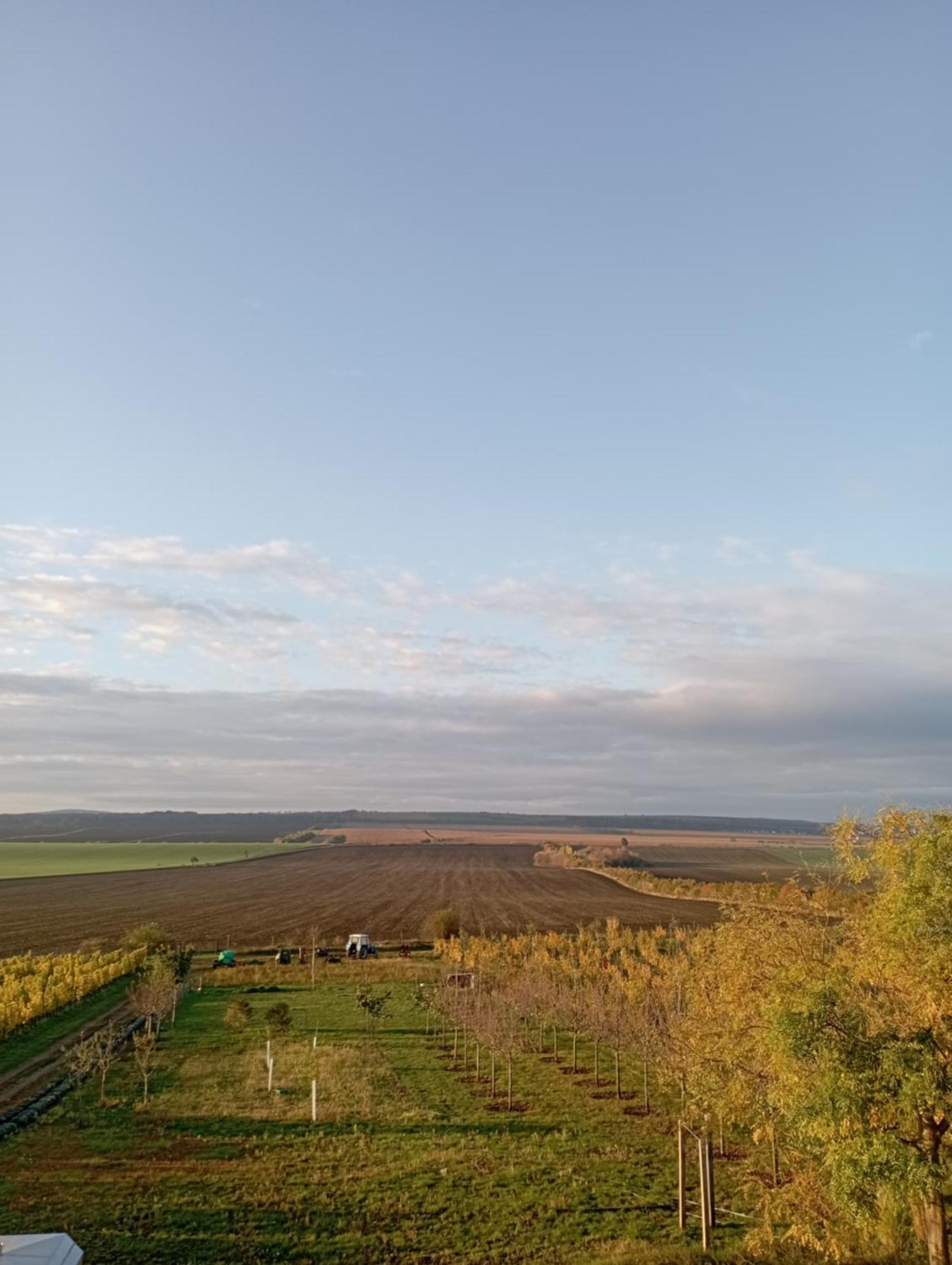 Vinarsky Penzion Strachotice Exterior foto
